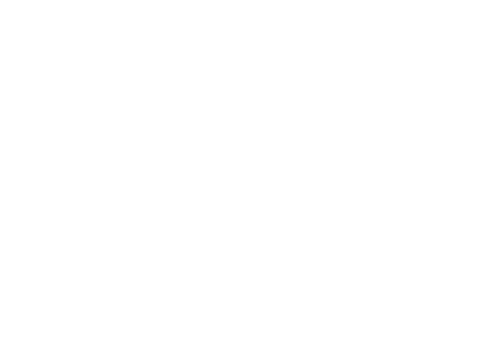 Schiffer Kft - logó__fehér, függőleges